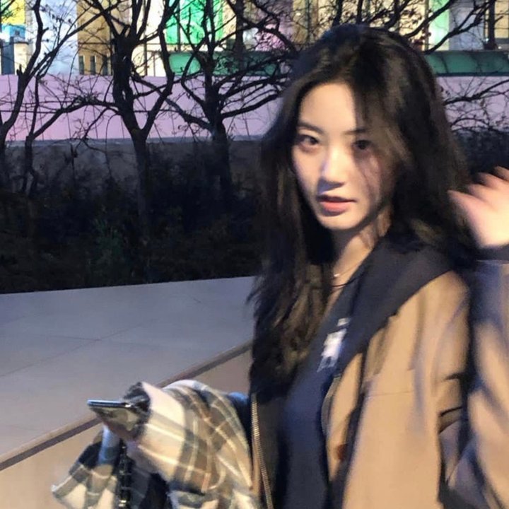 第3朵玫瑰