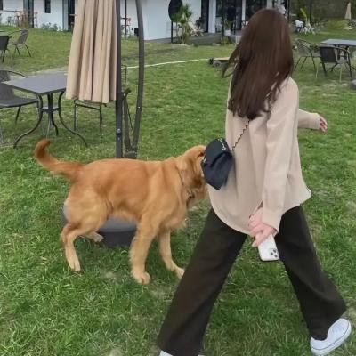 欲潮